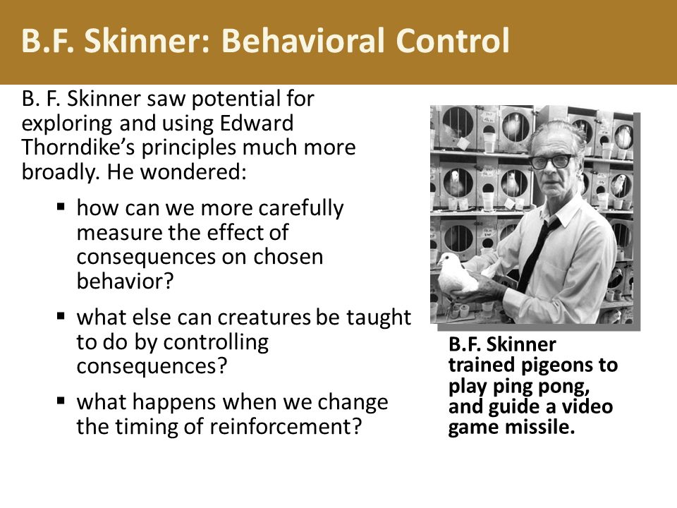 Skinner theory of education